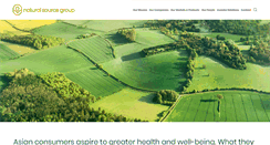 Desktop Screenshot of naturalsourcegroup.com
